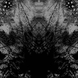 Chaos Echoes : Parisian Sessions - Rehearsal I Chaos Echoes : Parisian Sessions - Rehearsal I